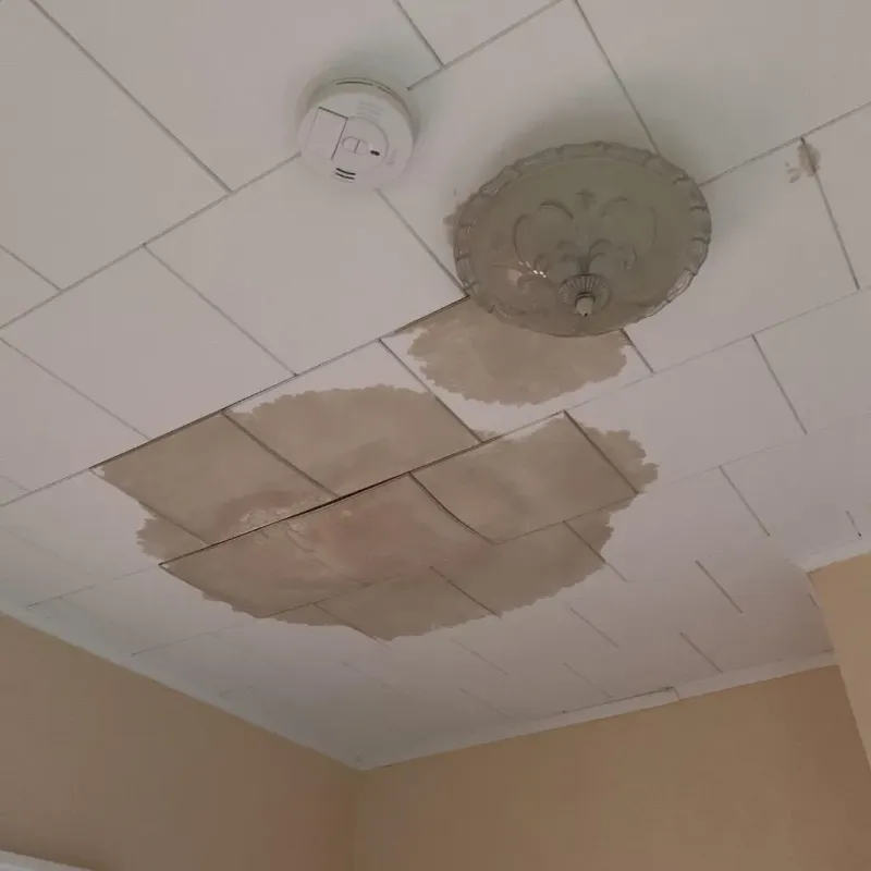 Ceiling Water Damage Repair in Winchester, VA